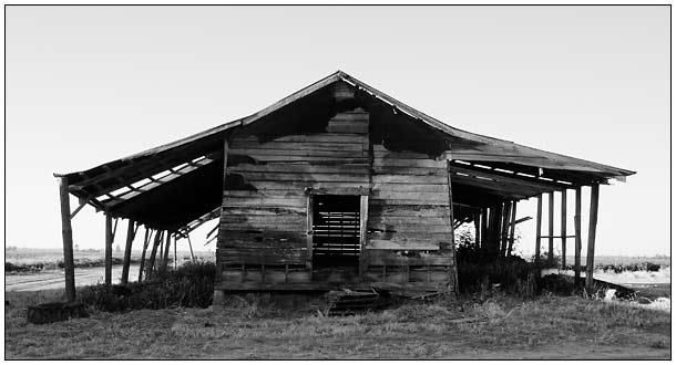 Mississippi_shed_1.jpg