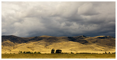 Pray_Montana_2.jpg