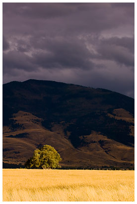 Pray_Montana_3.jpg