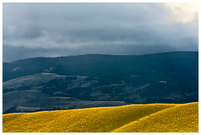 Pray_Montana_4.jpg