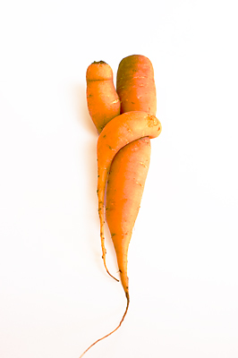 Carrot_Love_1.jpg