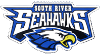 Seahawk Logo